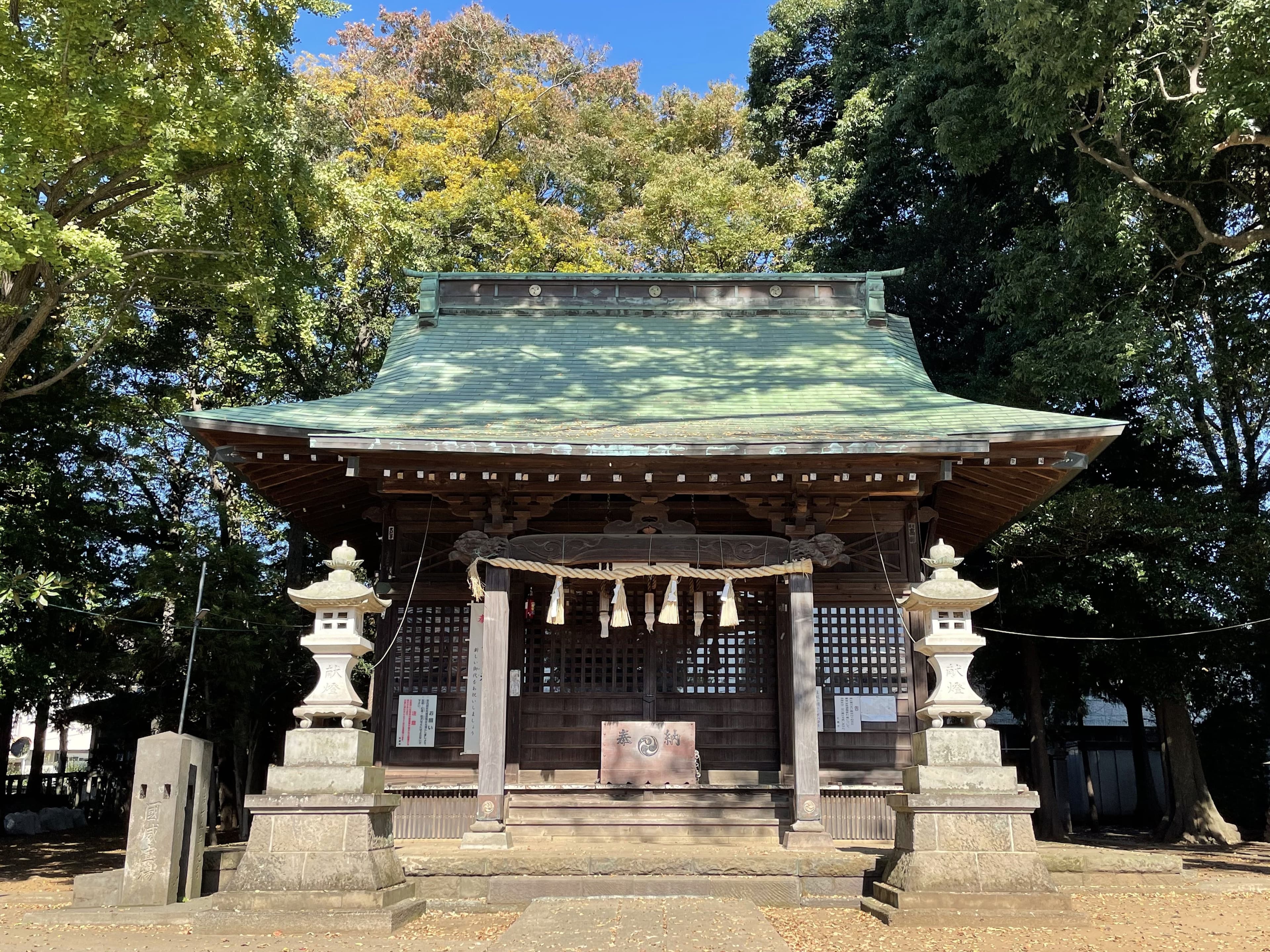 Main Image