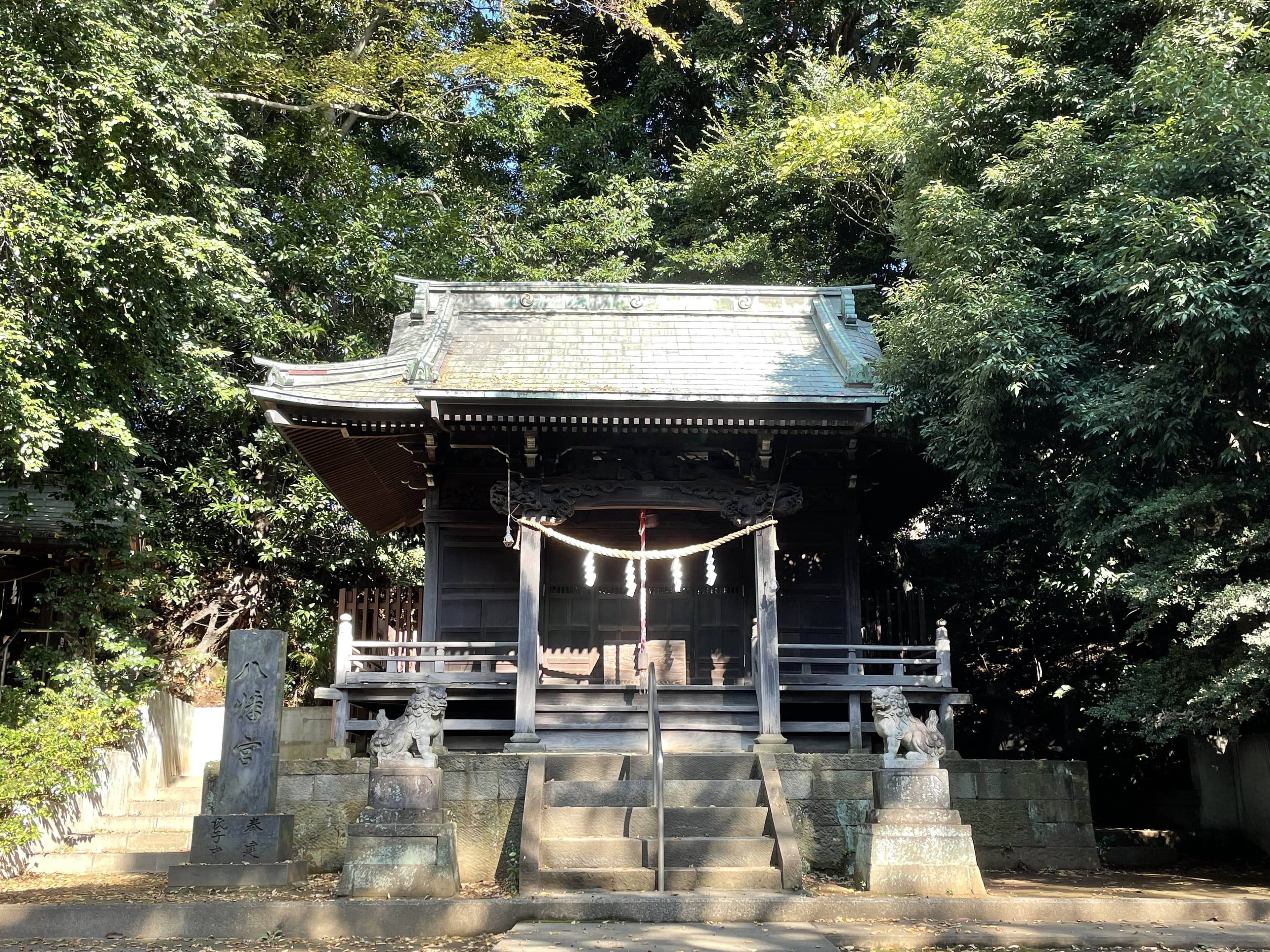Main Image